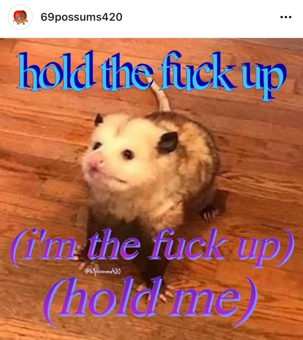 The meme features a picture of an opossum, a small, furry, and often misunderstood animal. The text overlayed on the image reads "hold the f**k up" and "(i'm the f**k up)" in a playful, exaggerated font. The meme is likely intended to be humorous and relatable, poking fun at the idea of being overwhelmed or flustered.